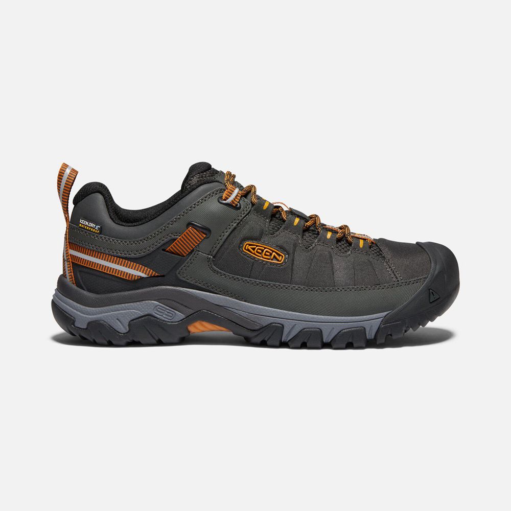 Zapatos de Seguridad Keen Hombre Argentina - Keen Explore Waterproof Negras