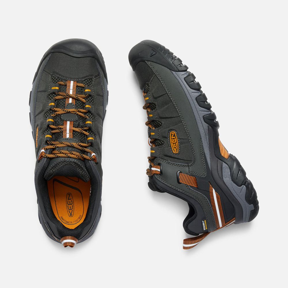 Zapatos Keen Hombre Originales Targhee Exp Impermeables Negros